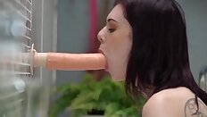 Lover's Foreplay