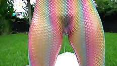 Soaking Rainbow Fishnets