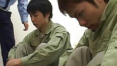 Police and prisoners to enjoy sex