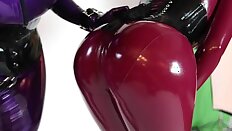 Latex kittens shining each other