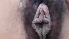 An Exotic Hairy Black Lips Pussy
