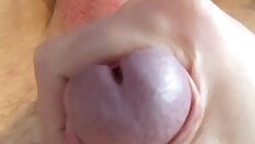 stroking my cock acorn close up masturbating jerking